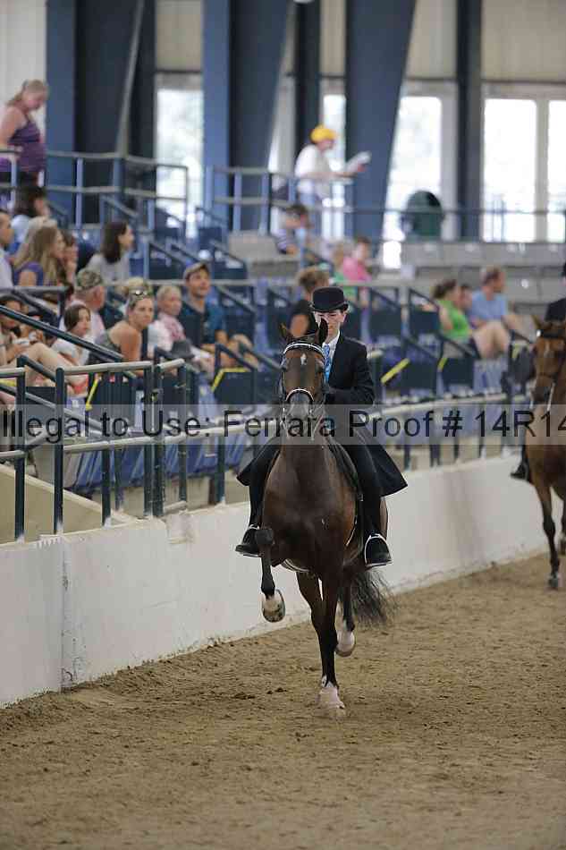 Proof Number 14r14_3088