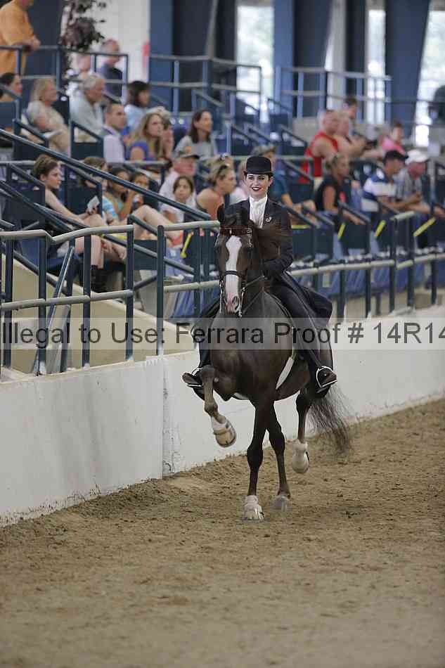 Proof Number 14r14_3092