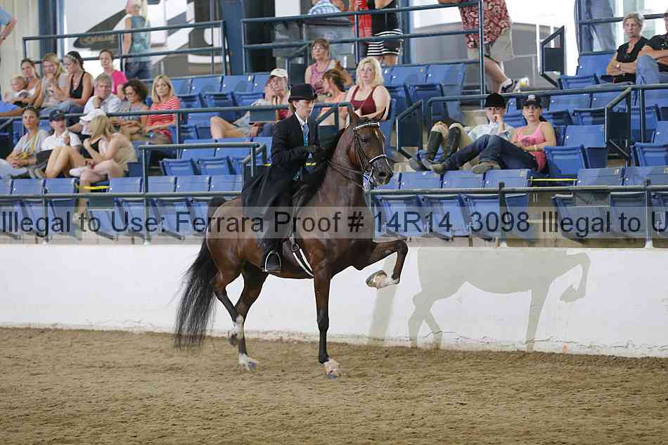 Proof Number 14r14_3098