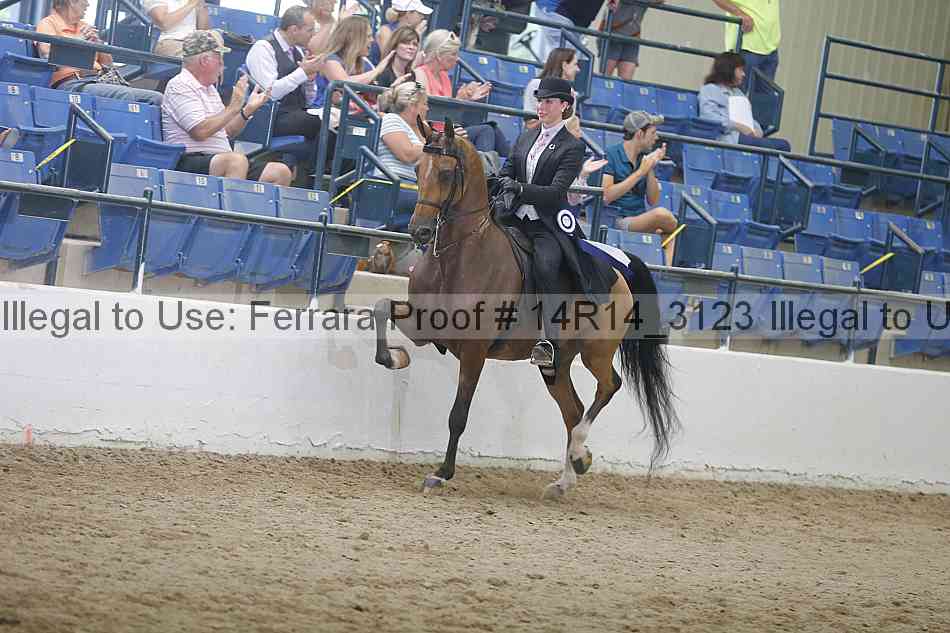 Proof Number 14r14_3123