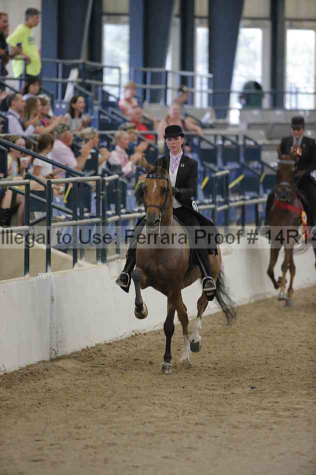 Proof Number 14r14_3127