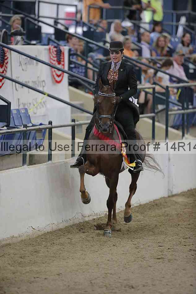 Proof Number 14r14_3129