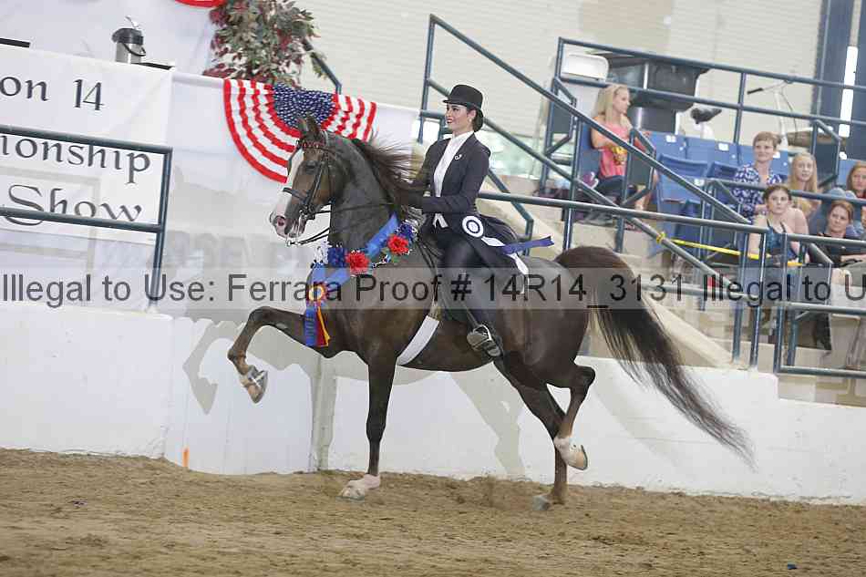 Proof Number 14r14_3131