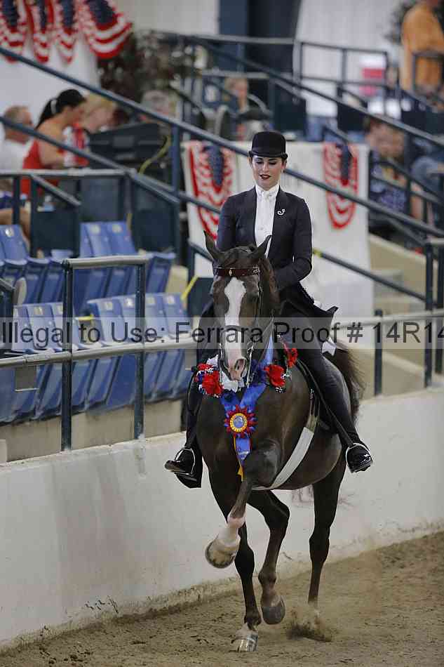 Proof Number 14r14_3136