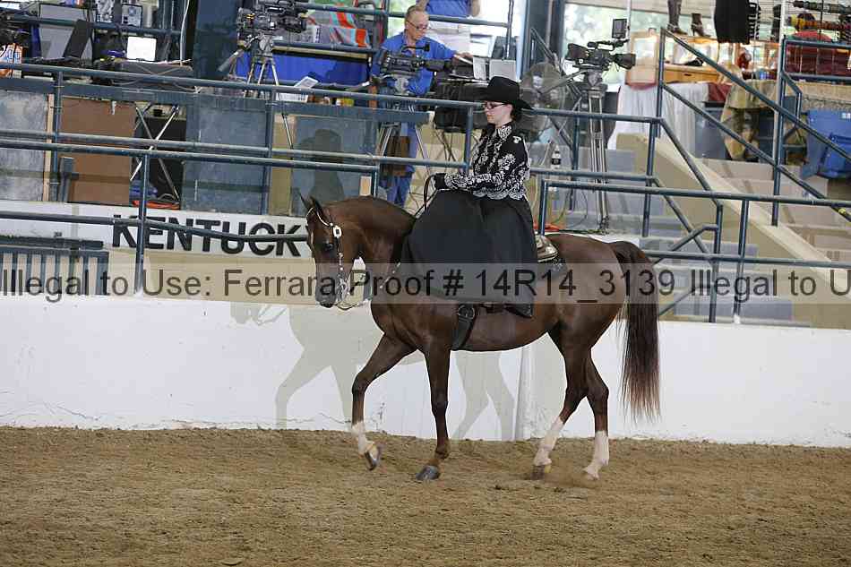 Proof Number 14r14_3139