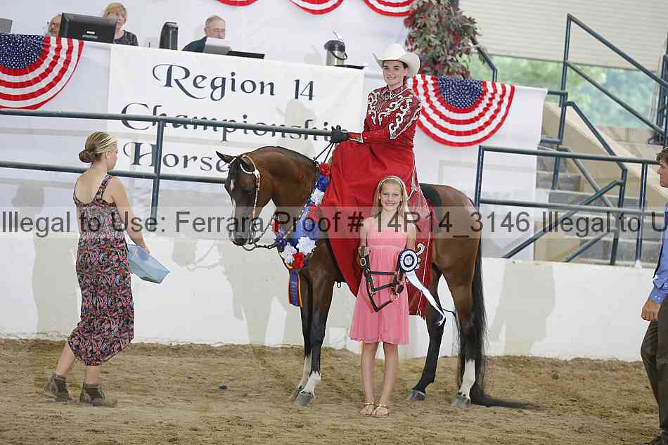 Proof Number 14r14_3146