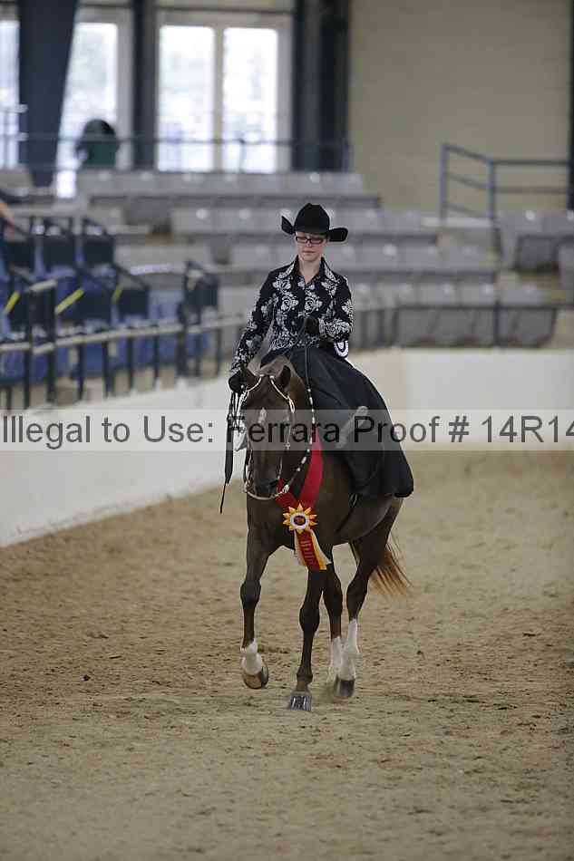 Proof Number 14r14_3150