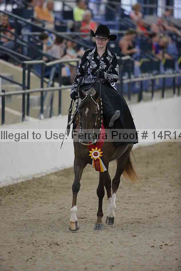 Proof Number 14r14_3152