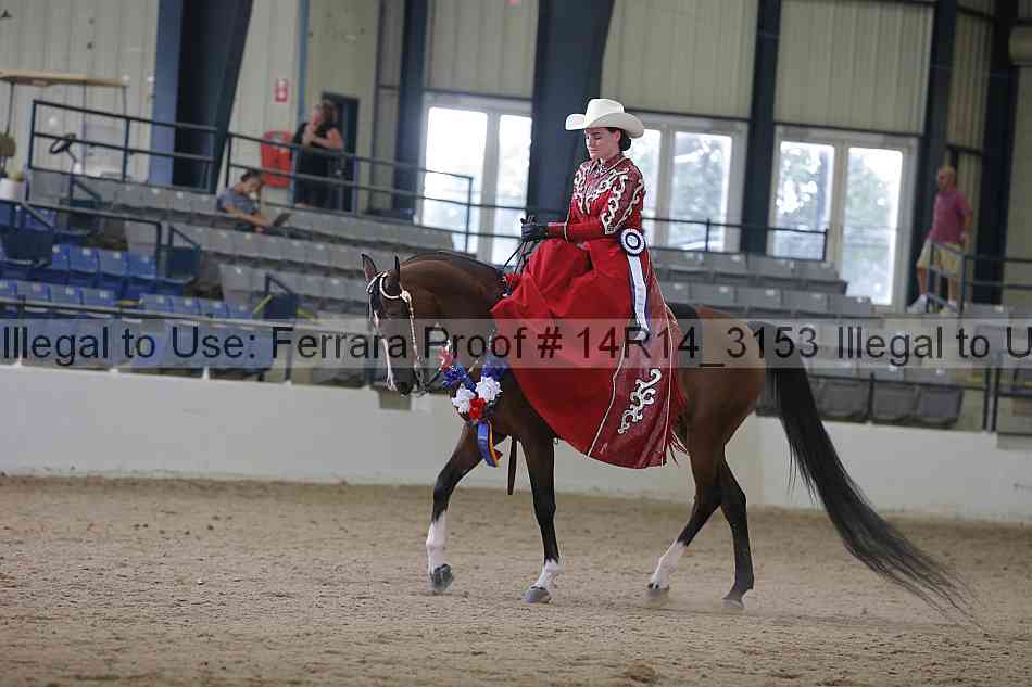 Proof Number 14r14_3153