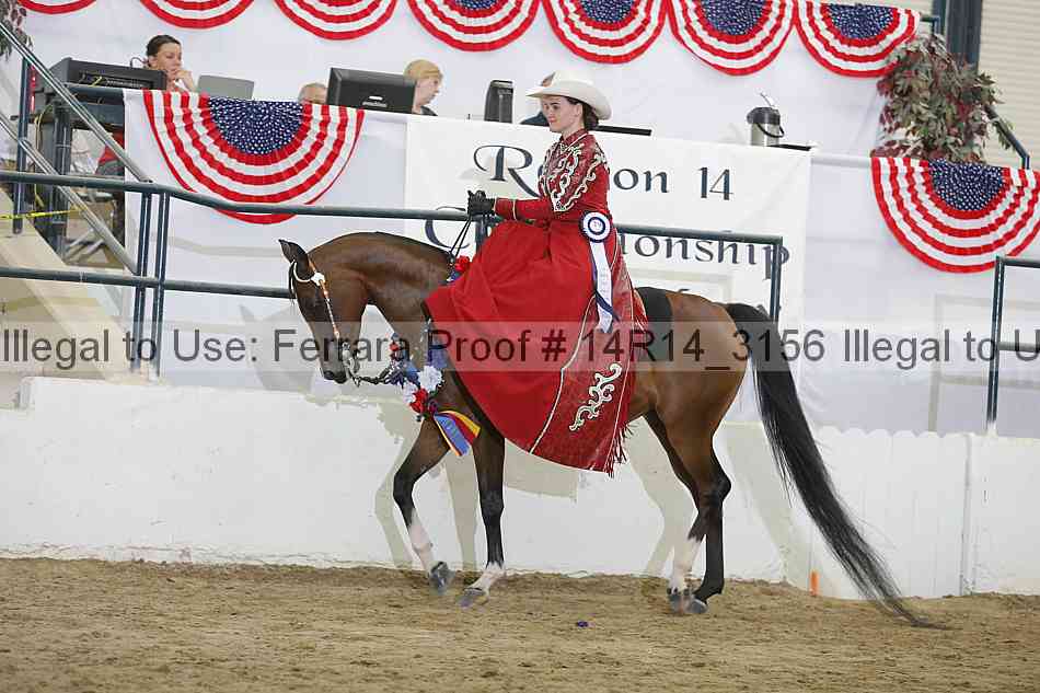 Proof Number 14r14_3156