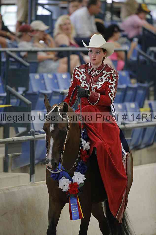 Proof Number 14r14_3163