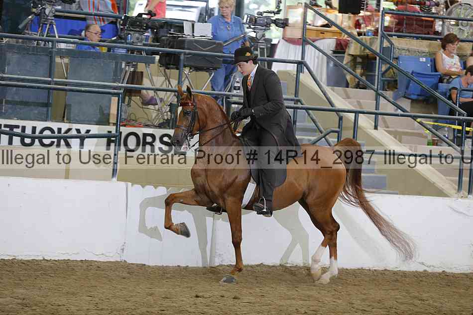 Proof Number 14r14_2987