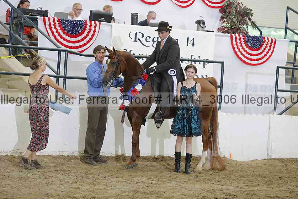 Proof Number 14r14_3006