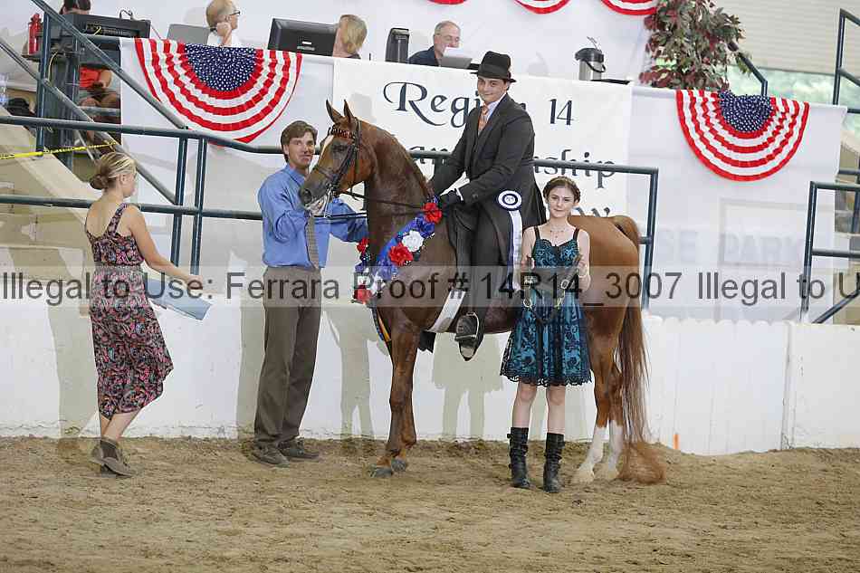 Proof Number 14r14_3007