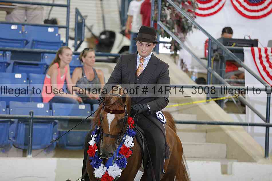 Proof Number 14r14_3008