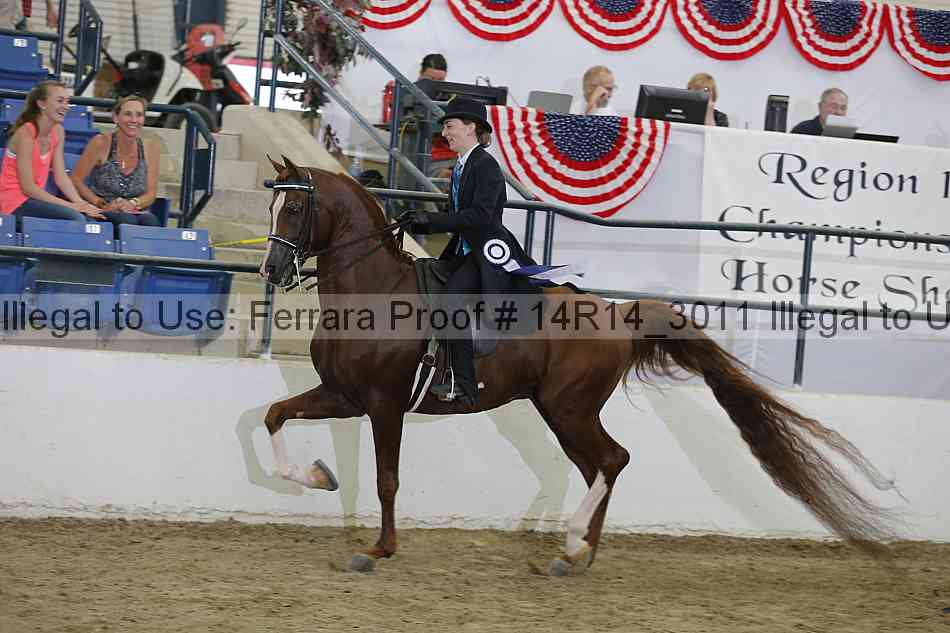 Proof Number 14r14_3011