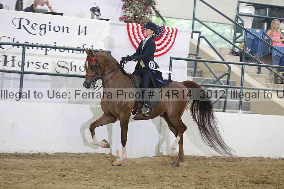 Proof Number 14r14_3012