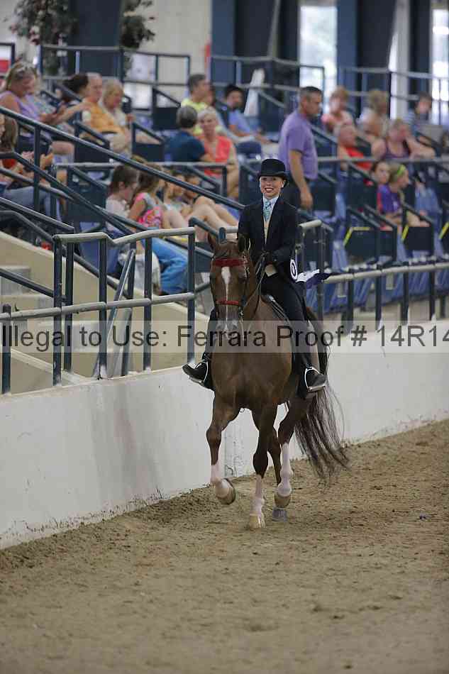Proof Number 14r14_3013