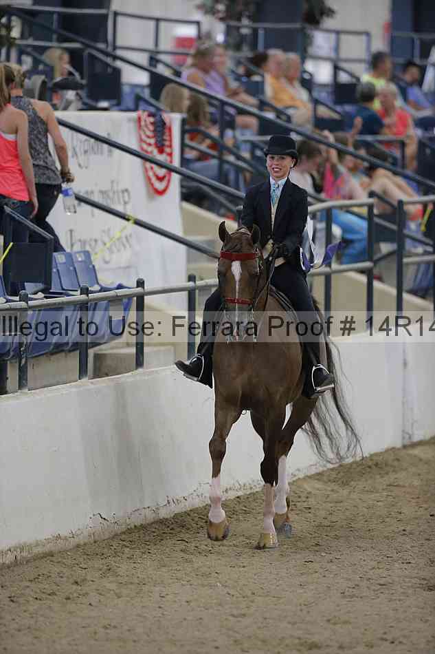 Proof Number 14r14_3015