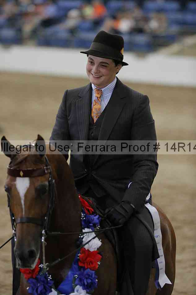 Proof Number 14r14_3019