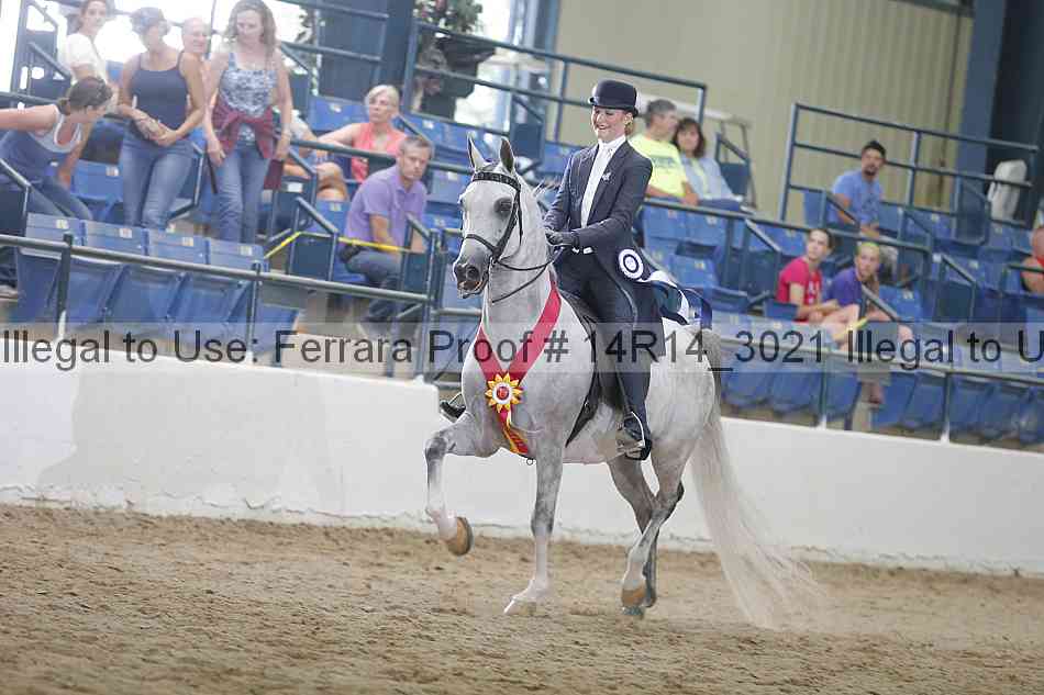 Proof Number 14r14_3021
