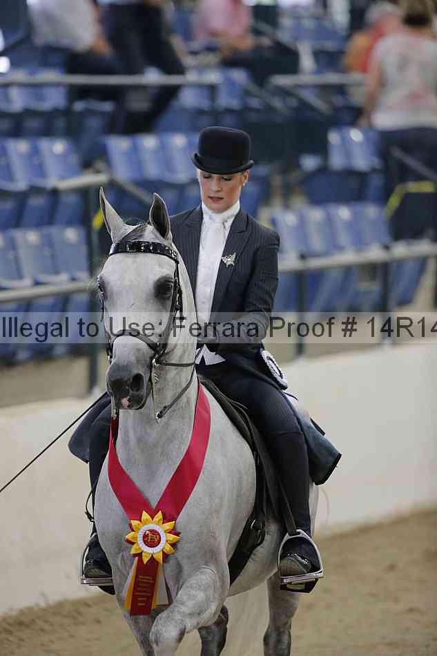 Proof Number 14r14_3024