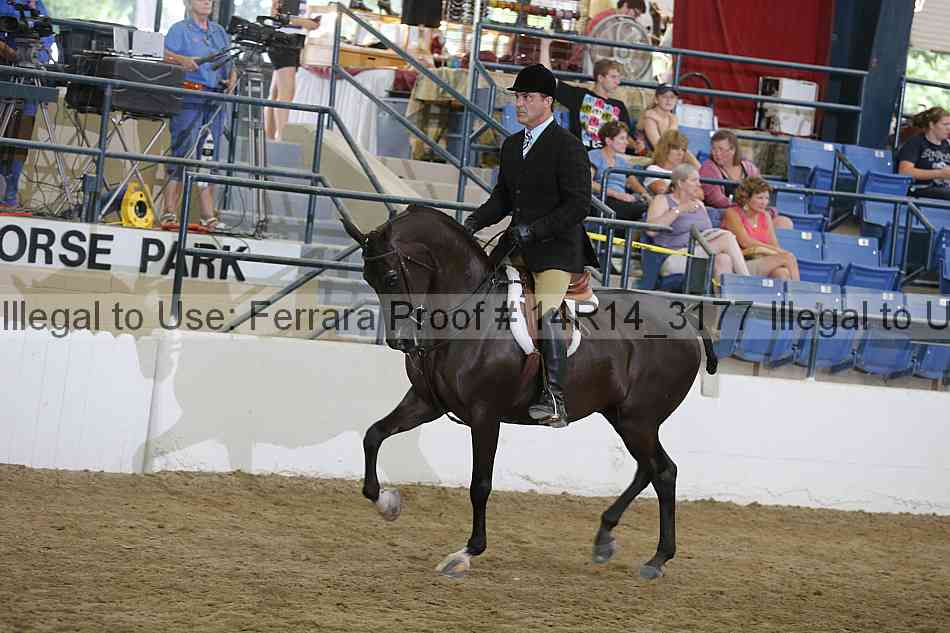 Proof Number 14r14_3177