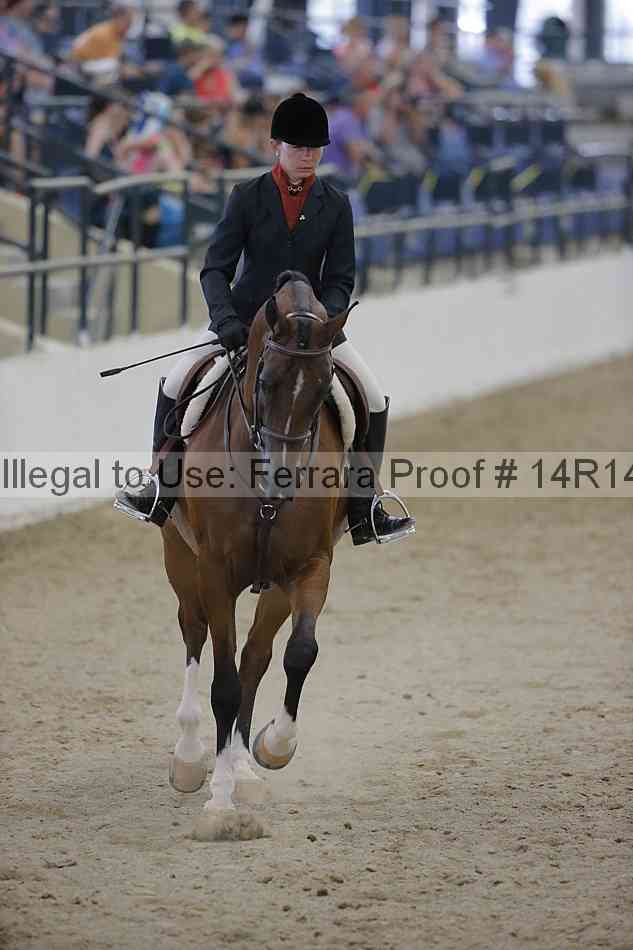 Proof Number 14r14_3192