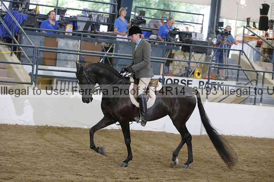Proof Number 14r14_3193