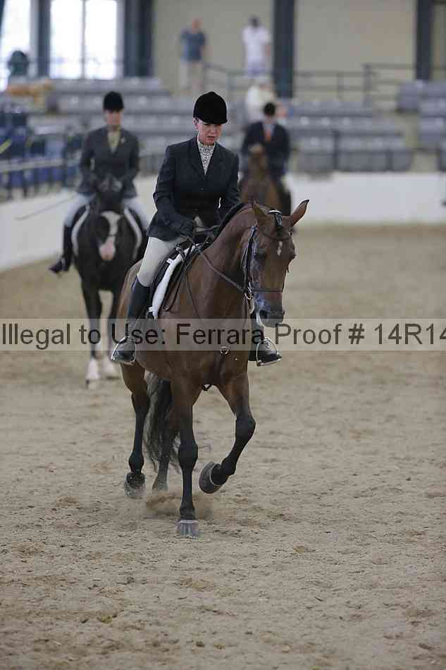 Proof Number 14r14_3200