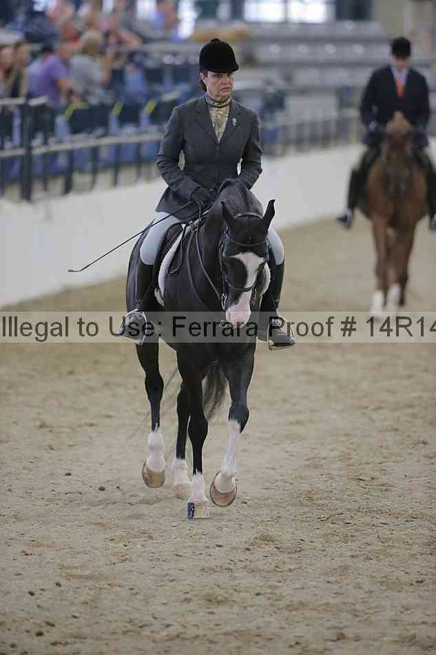 Proof Number 14r14_3202
