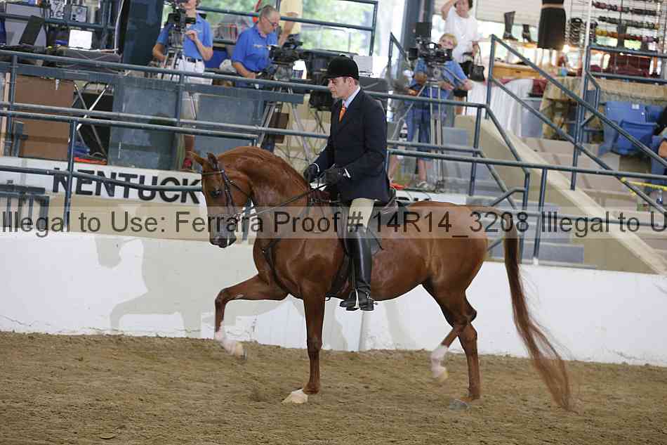 Proof Number 14r14_3208