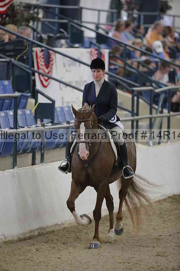 Proof Number 14r14_3218