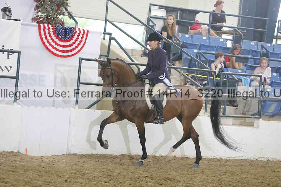 Proof Number 14r14_3220