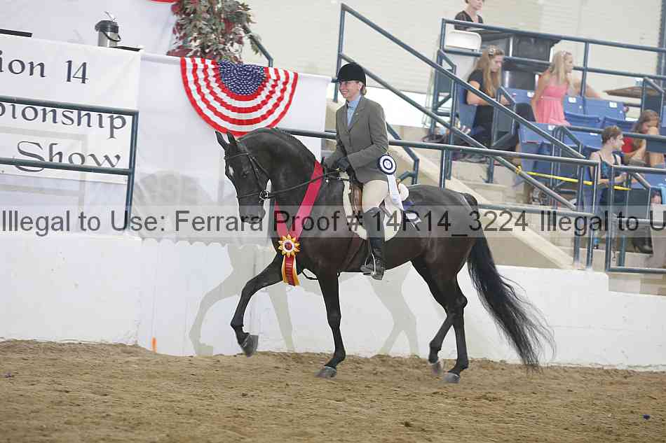 Proof Number 14r14_3224