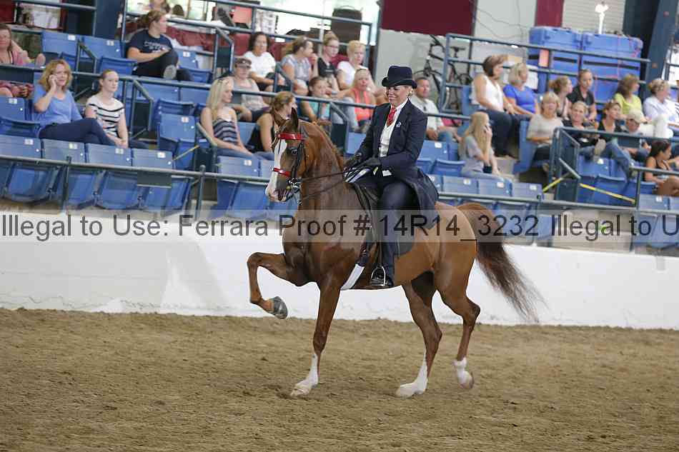 Proof Number 14r14_3232