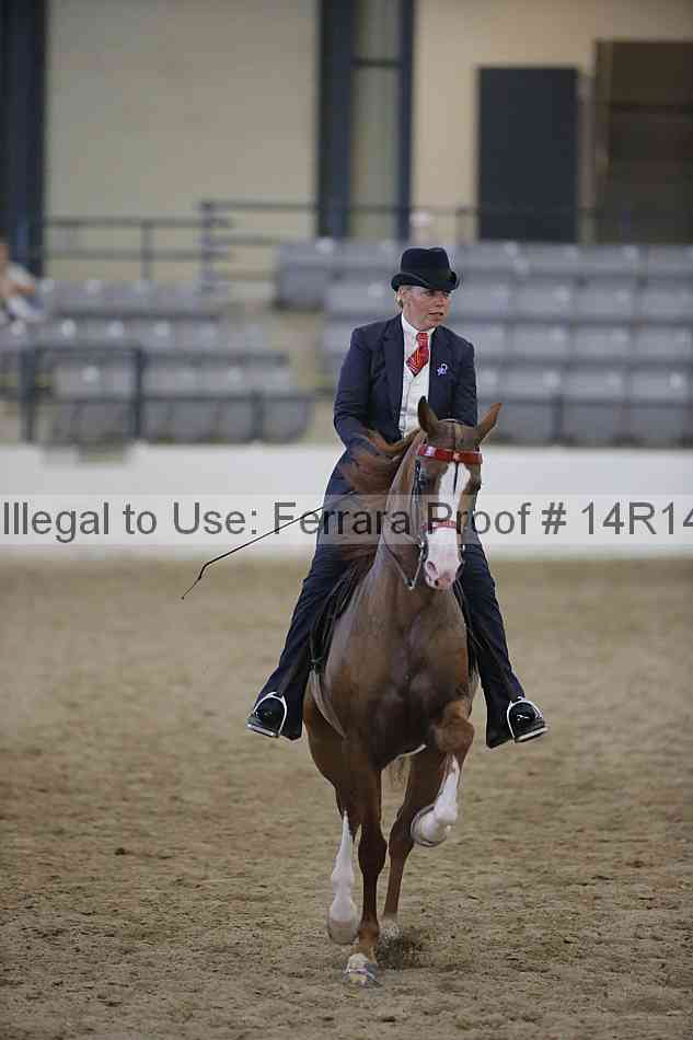 Proof Number 14r14_3235