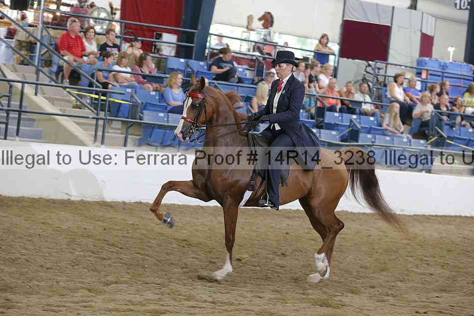 Proof Number 14r14_3238
