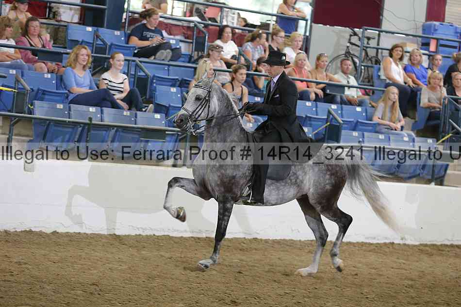 Proof Number 14r14_3241