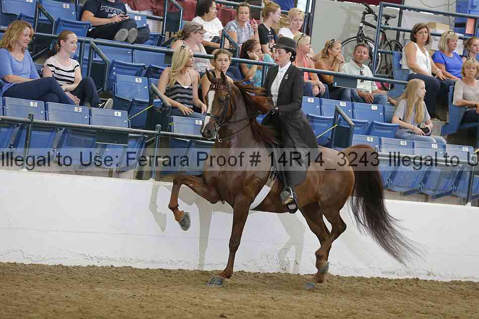 Proof Number 14r14_3243