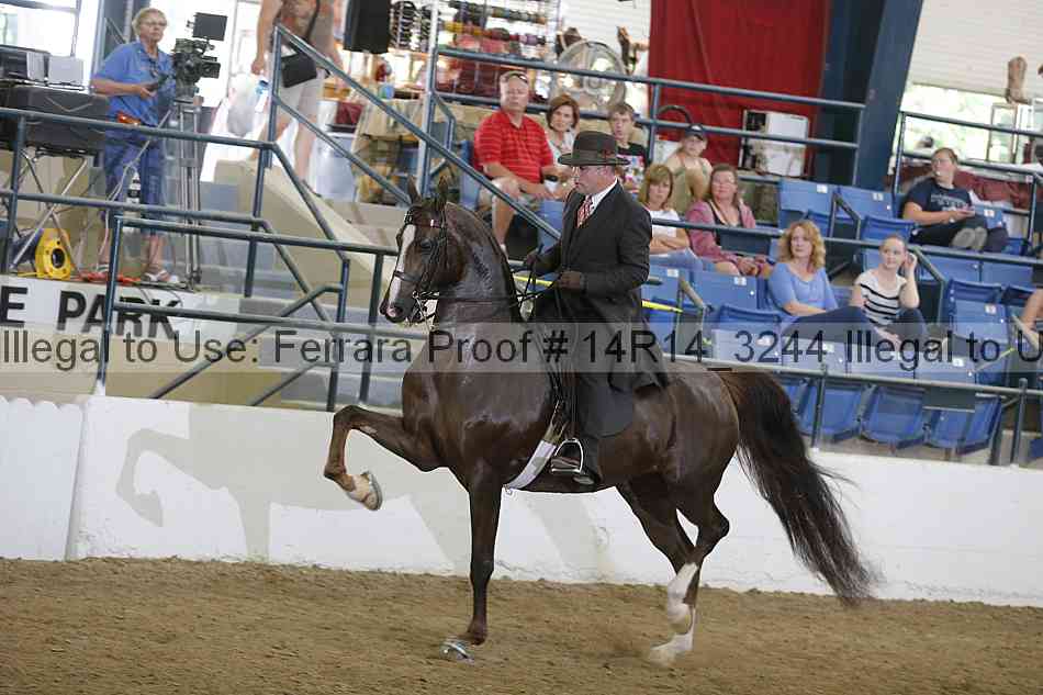Proof Number 14r14_3244