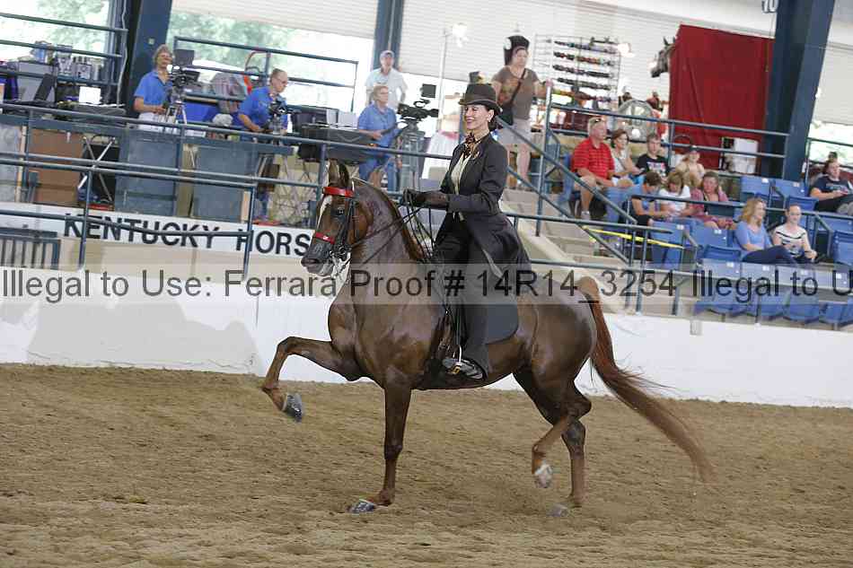 Proof Number 14r14_3254
