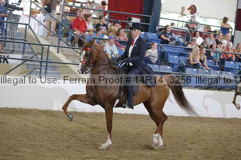 Proof Number 14r14_3256
