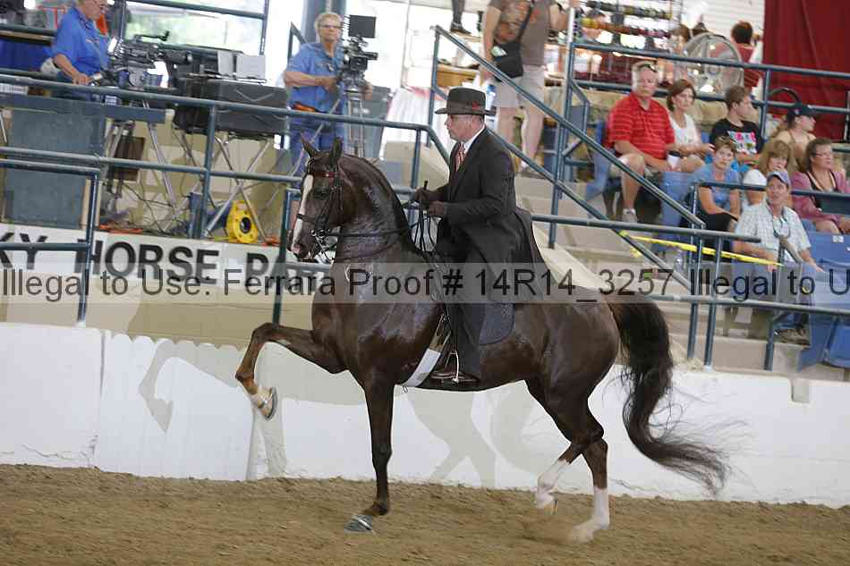 Proof Number 14r14_3257