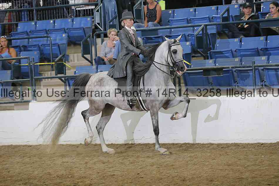 Proof Number 14r14_3258