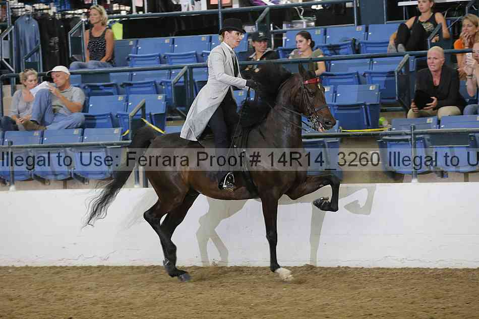 Proof Number 14r14_3260