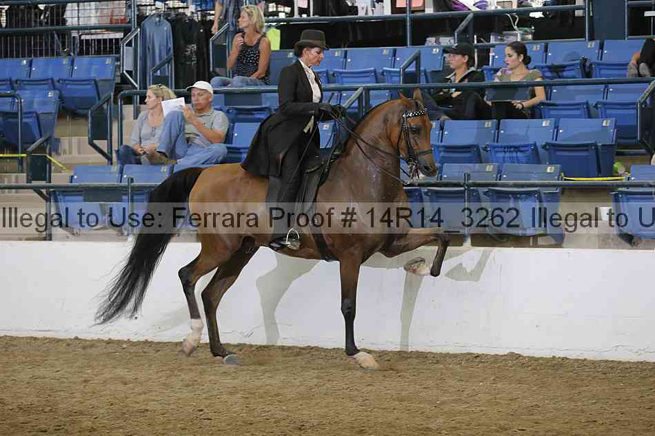 Proof Number 14r14_3262