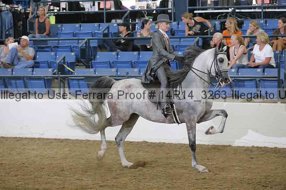 Proof Number 14r14_3263