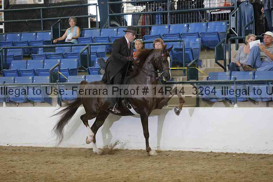 Proof Number 14r14_3264