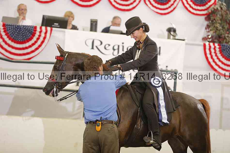 Proof Number 14r14_3268